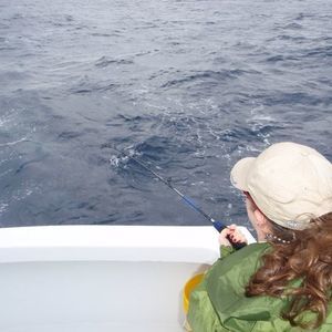 Meet your Posher, Alexa